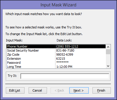 Microsoft Access Input Mask