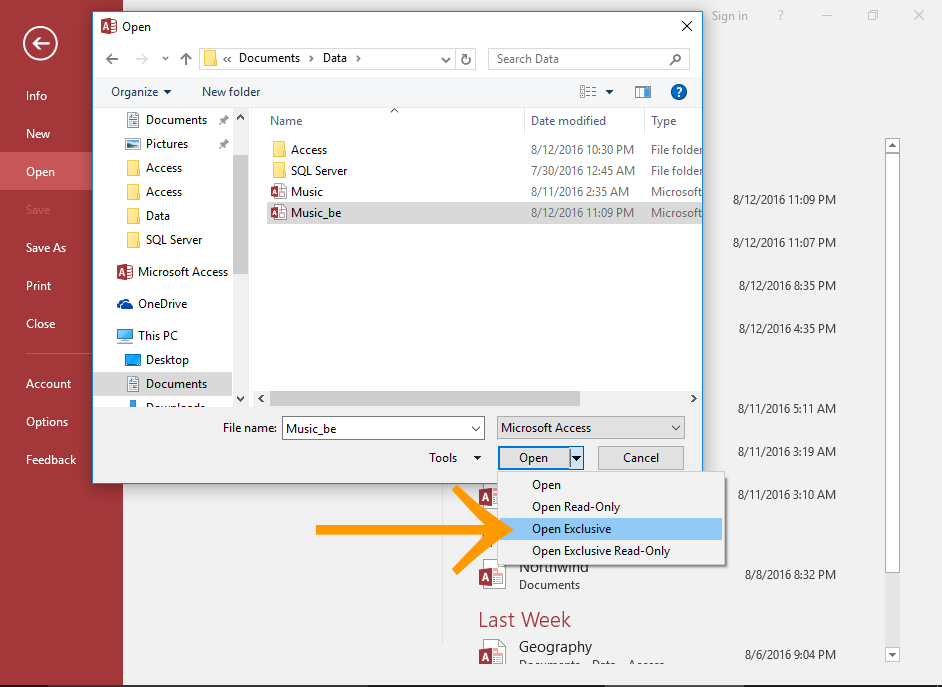 ms access password storage